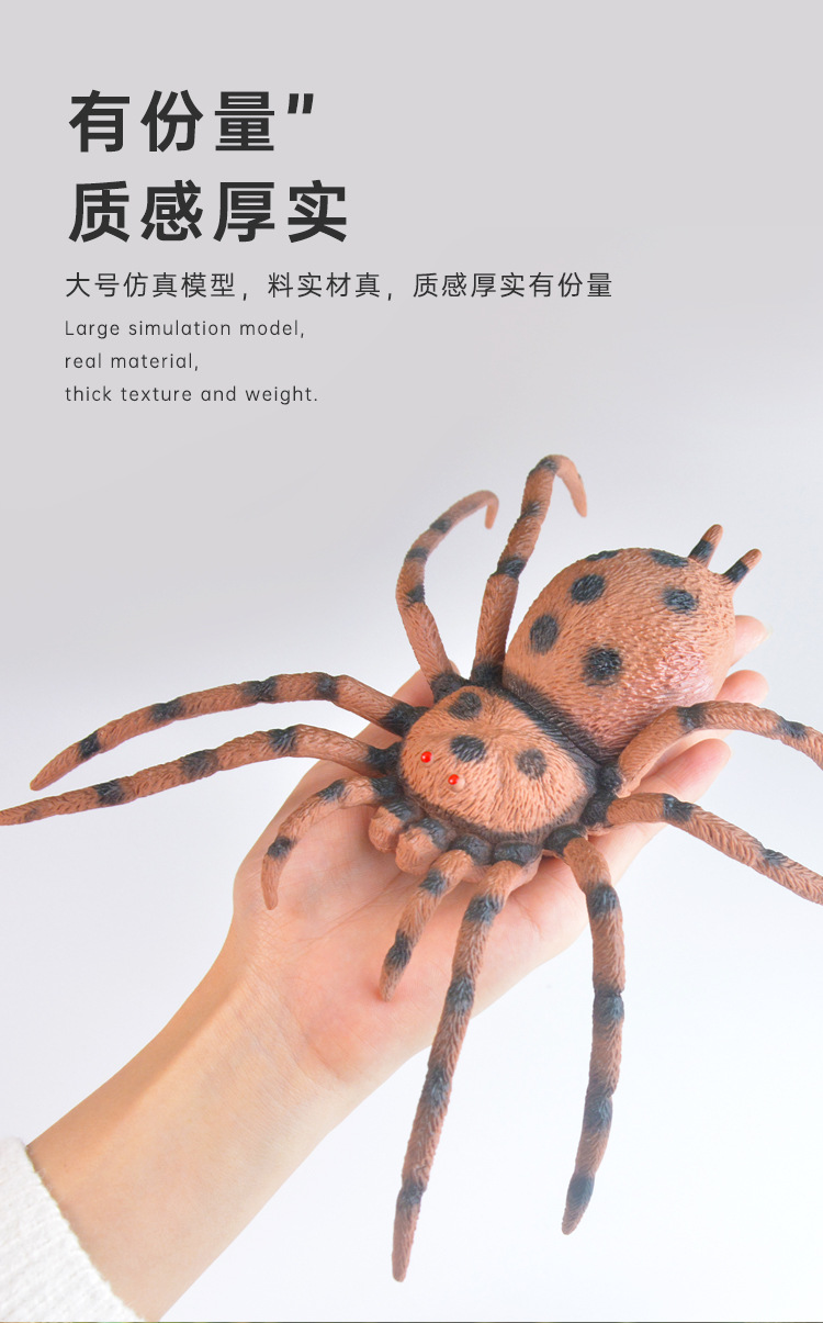 跨境热卖多款仿真昆虫模型动物摆设沙盘场景科教认知动物模型批发