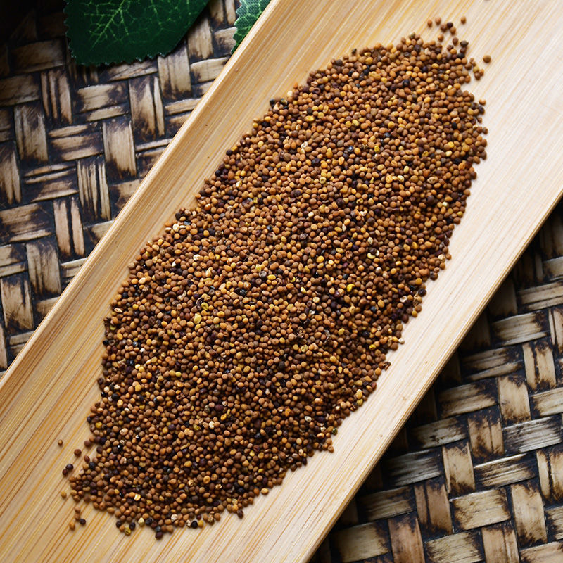 菟丝子茶 野生兔丝子茶中药材非枸杞子淫羊藿泡水喝酒料韭菜籽粉