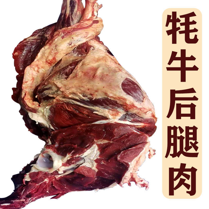 青藏高原祁连山正宗牦牛肉新鲜牛腿肉牛后腿牛前腿膘现宰现杀