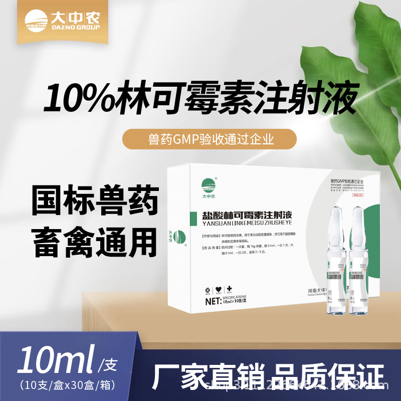 大中农10%盐酸林可霉素注射液兽药猪牛羊犬猫用针剂兽用