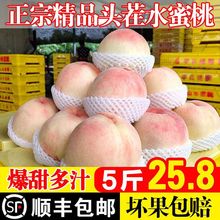 水蜜桃5/10斤装当季新鲜水果桃子整箱包邮脆甜大毛桃