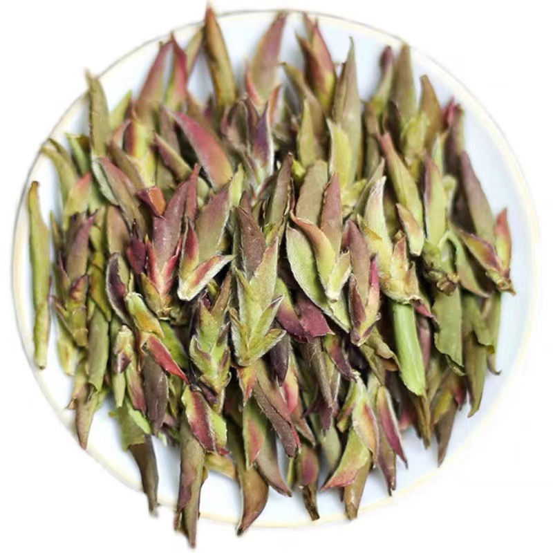 2022年头春茶云南野生紫芽苞茶古树白芽孢茶普洱茶生茶野花香散茶