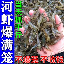 河虾饵料饲料鱼食诱食剂池塘沟渠淡水捕虾笼四季诱虾