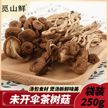 茶树菇干货不开伞农家茶菇新鲜干菇干菌菇类古田特产 250g