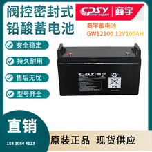 商宇蓄电池GW12100  12V100AH电梯照明 UPS电源配套 EPS直流屏