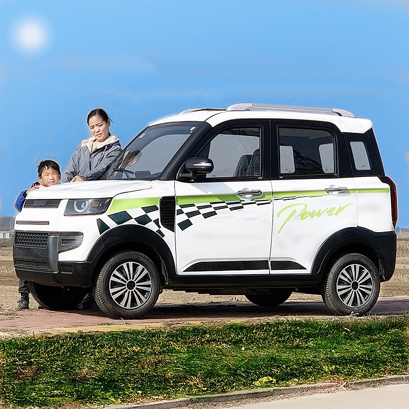 雷迈电动四轮车家用款全新上市新能源电动汽车老年代步车油电两用