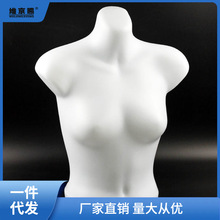 塑料内衣模特道具女士上半身文胸假人柜台展示架拍照聚拢运动