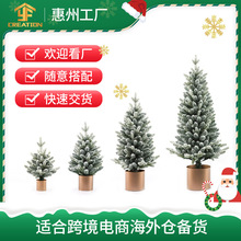 圣诞树迷你聖誕树套装仿真PE金盆桌面圣诞树套餐christmas tree