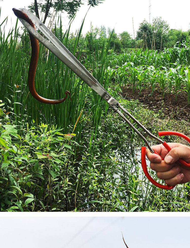 捕泥鳅黄鳝夹鳝鱼夹子不锈钢钳子防滑赶海神器抓螃蟹龙虾专用工