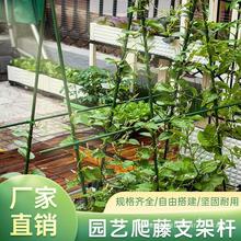 爬藤架花架园艺支撑杆包塑钢管豆角黄瓜番茄植物种菜专业葡萄支架