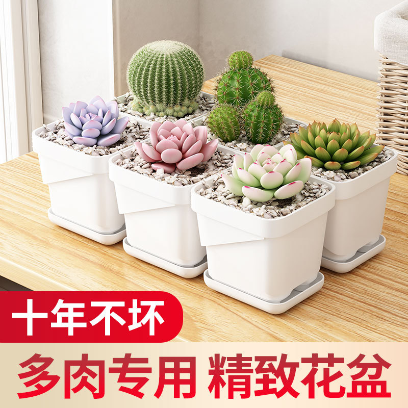 exquisite flower pot household plastic breathable base succulent pot office pot universal square thickened breathable flower pot