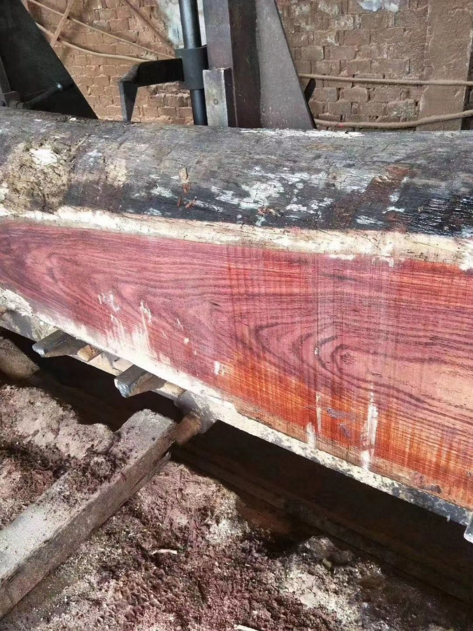 现货 喀麦隆巴花木原木板材 刚果小巴花木 喀麦隆高山小巴花