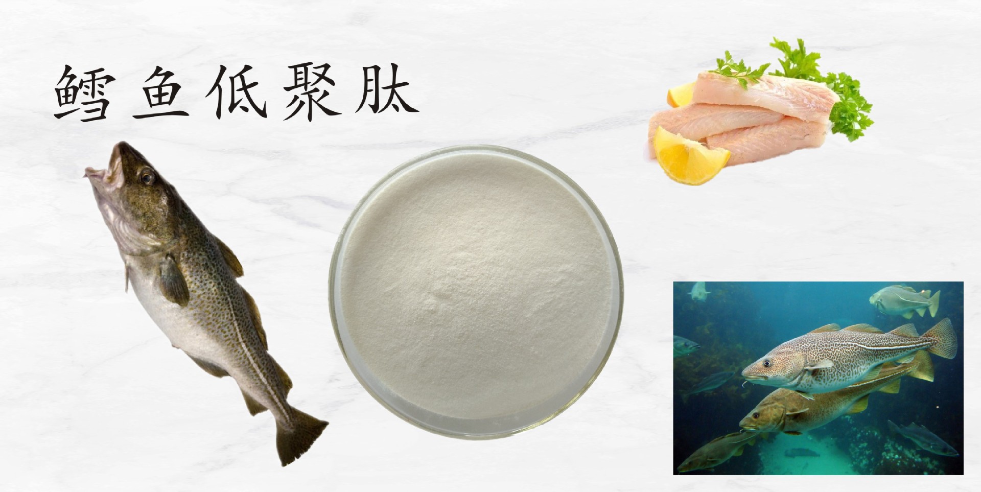 鳕鱼肽98% 鳕鱼胶原蛋白肽 深海鱼低聚肽 鳕鱼提取物 1kg/袋现货