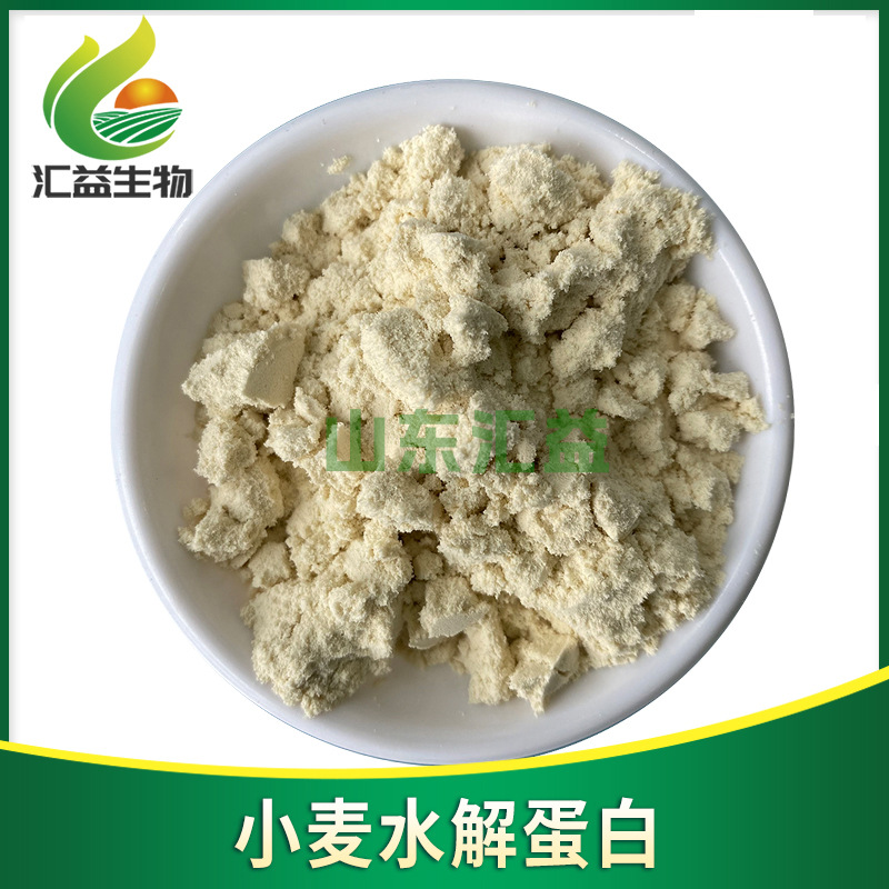 供应食品级小麦水解蛋白粉蛋白含量80 科泰小麦水解蛋白粉