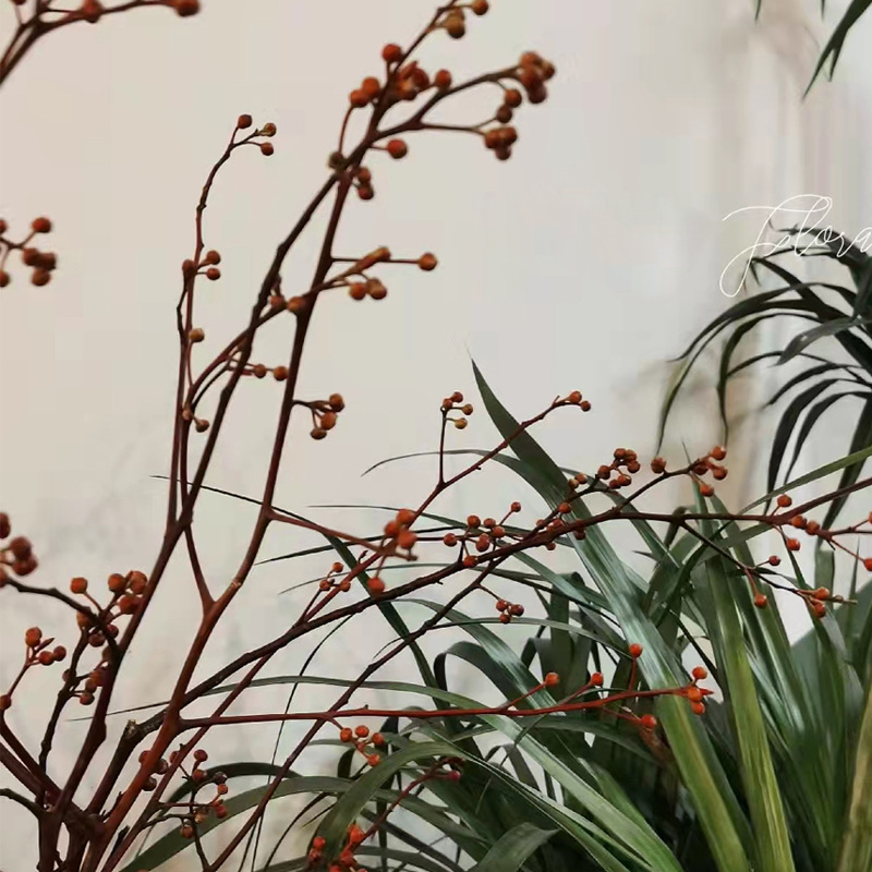 灯台 云南昆明灯台树枝中式插花线条花材鲜花基地批发年宵花