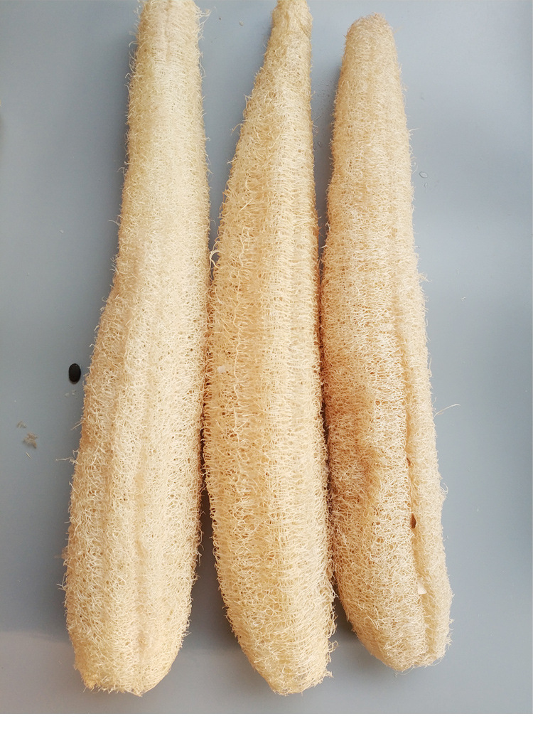 天然丝瓜络丝瓜瓢搓背丝瓜瓤搓澡洗澡巾洗碗后背长条刷锅沐浴神器