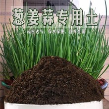 葱姜蒜通用土种花种菜营养土育苗土壤花卉绿萝专用有机泥土肥料米