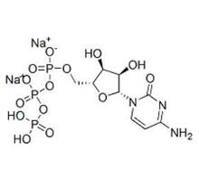 5'-胞苷三磷酸二钠, CTP .2Na Cas号: 36051-68-0