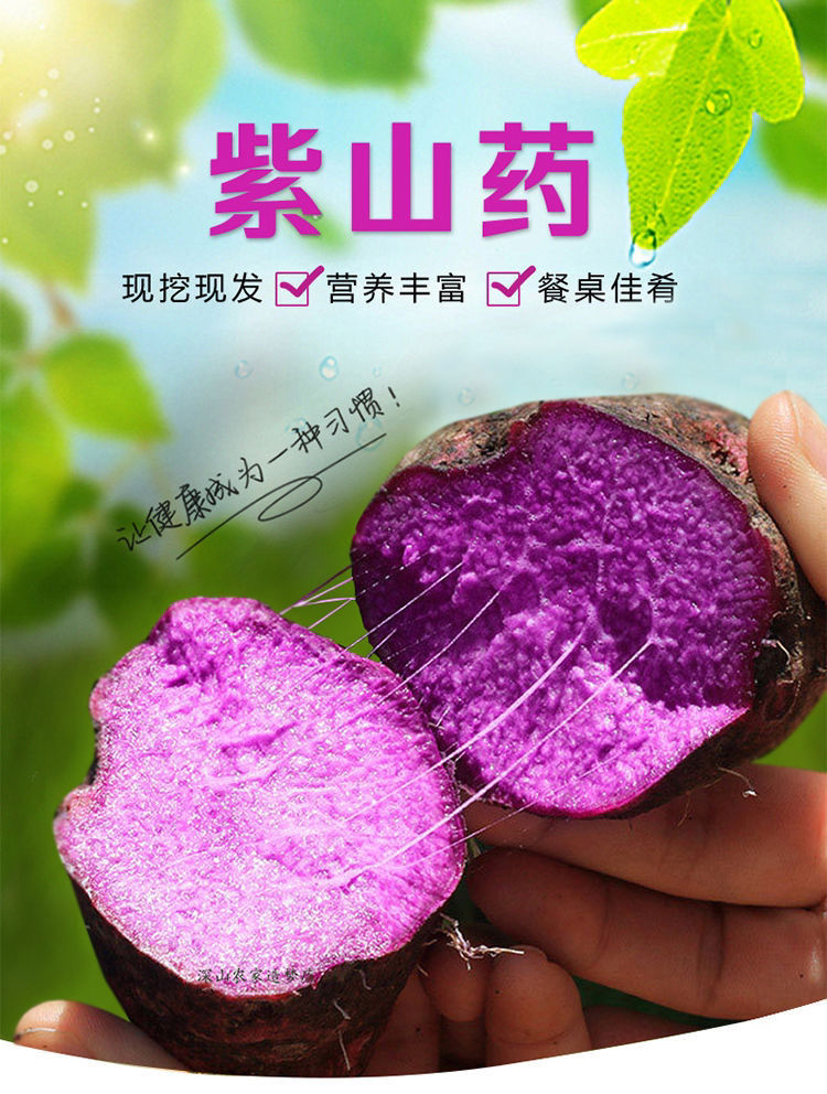 紫山新鲜现挖3斤江西农家蔬菜紫色脚板薯大薯紫玉淮山毛薯5/10