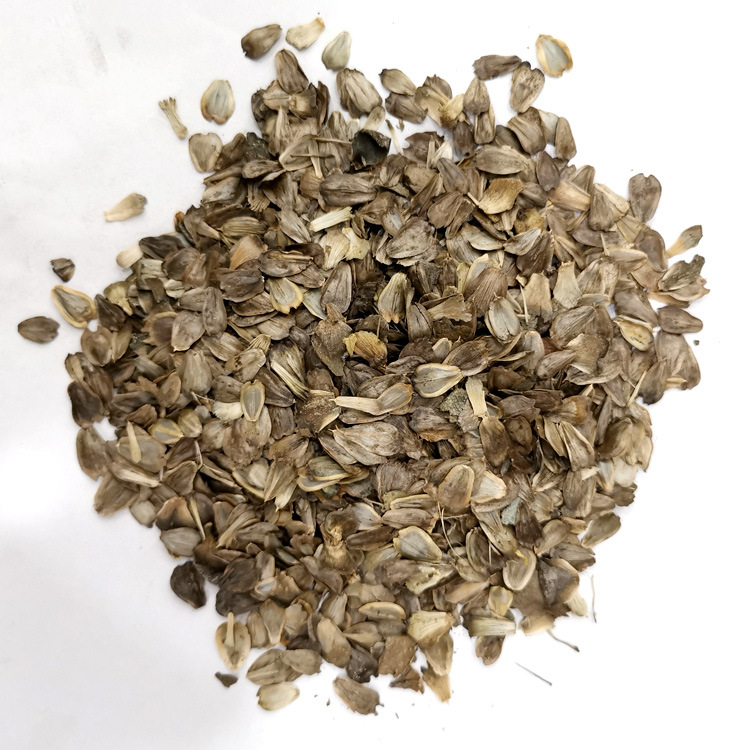 牧草草种籽串叶松香草种子多年生猪牛羊鹅畜禽牧草籽香槟菊花草种