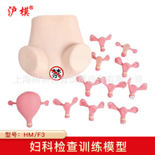 沪模HM/F3妇科检查模型宫颈计划生育妇产科训练模具子宫放环取环