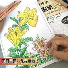 儿童白描临摹线稿少儿美术画教材中国画白描入门植物花鸟山水工笔