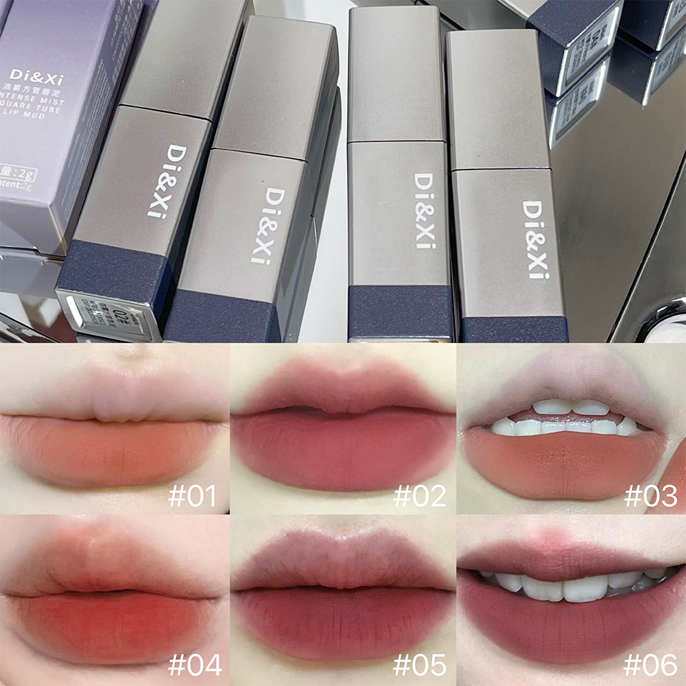 Di & Xi Thick Mist Velvet Lip Mud Matte White Square Tube Lipstick Color Lifting All-Match Cheap Makeup Cross-Border Wholesale