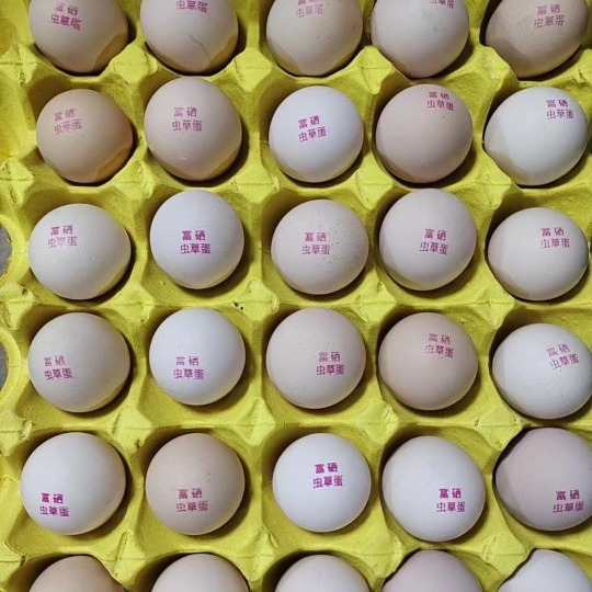 0成交11箱无抗虫草土鸡蛋/精品包装360枚/箱 毛重34-38斤￥190.