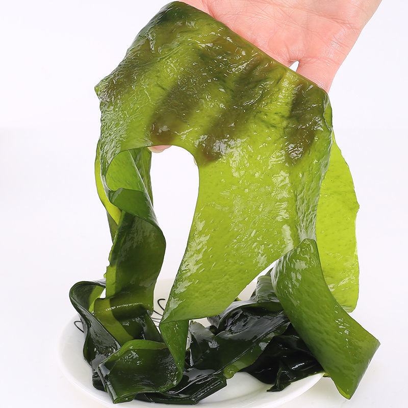 休闲海草