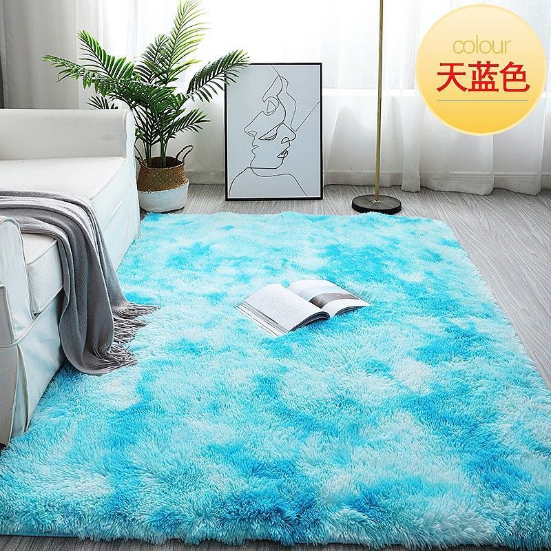 Carpet Bedroom Thickened Long-Haired Girl Stain-Resistant Bedside Blanket Living Room Coffee Table Bay Window Large Area Full of Photo Blanket
