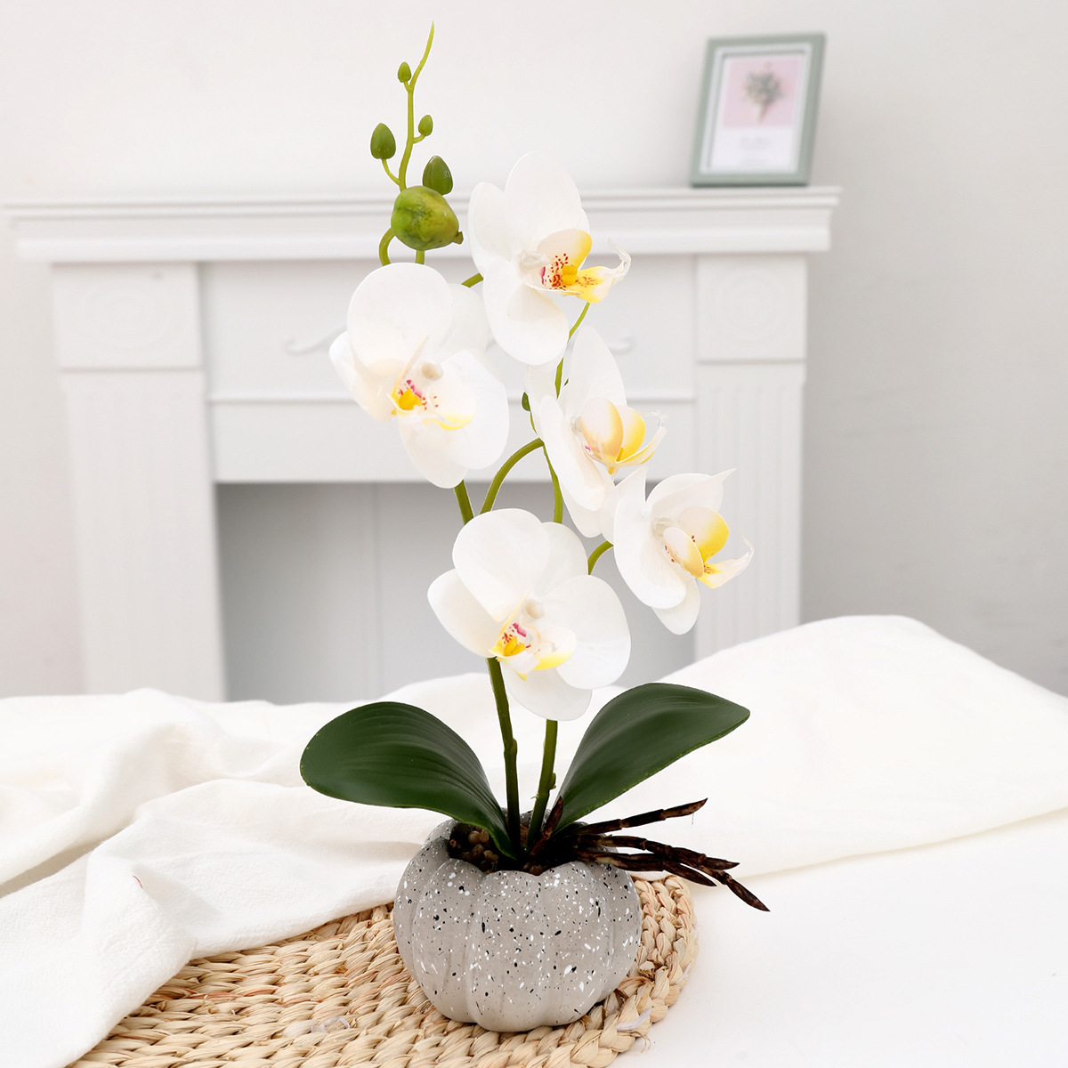 New Artificial Flower Phalaenopsis Plant Potted Decorative Flower Office Shooting Props Fake Flower Wedding Home Furnishing Soft Outfit