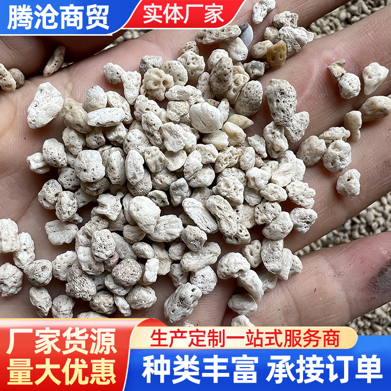 珊瑚砂鱼缸底砂造景装饰水质净化过滤材料稳定水质鱼缸造景珊瑚沙