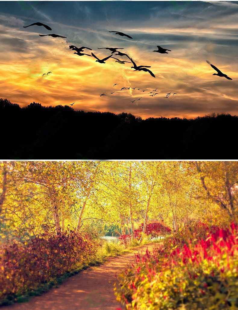 抖音高清风景图片短视频素材包剪辑教程壁纸图片怀旧农村乡愁课程