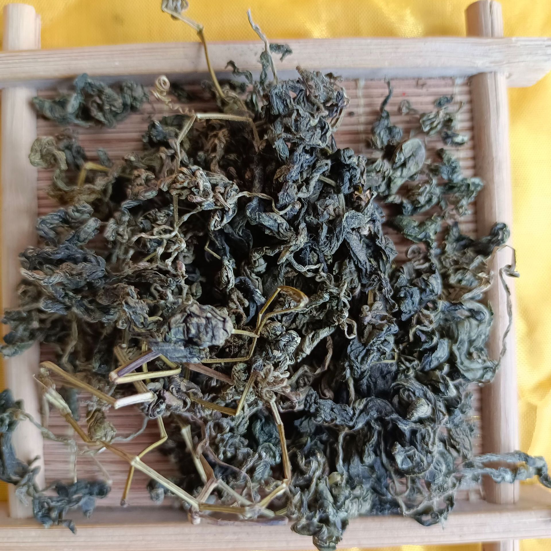 新货绞股蓝中药材批发绞股蓝青色绞股蓝现货供应【文杰药业】