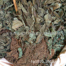 中药材四块瓦 四大天王 四叶对 四叶细辛 万根丹 全草 干货