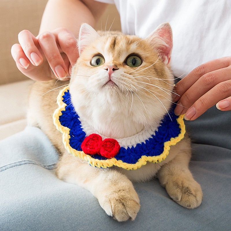 可爱猫咪项圈针织无声铃铛猫猫脖圈小猫宠物饰品编织猫颈幼猫项链