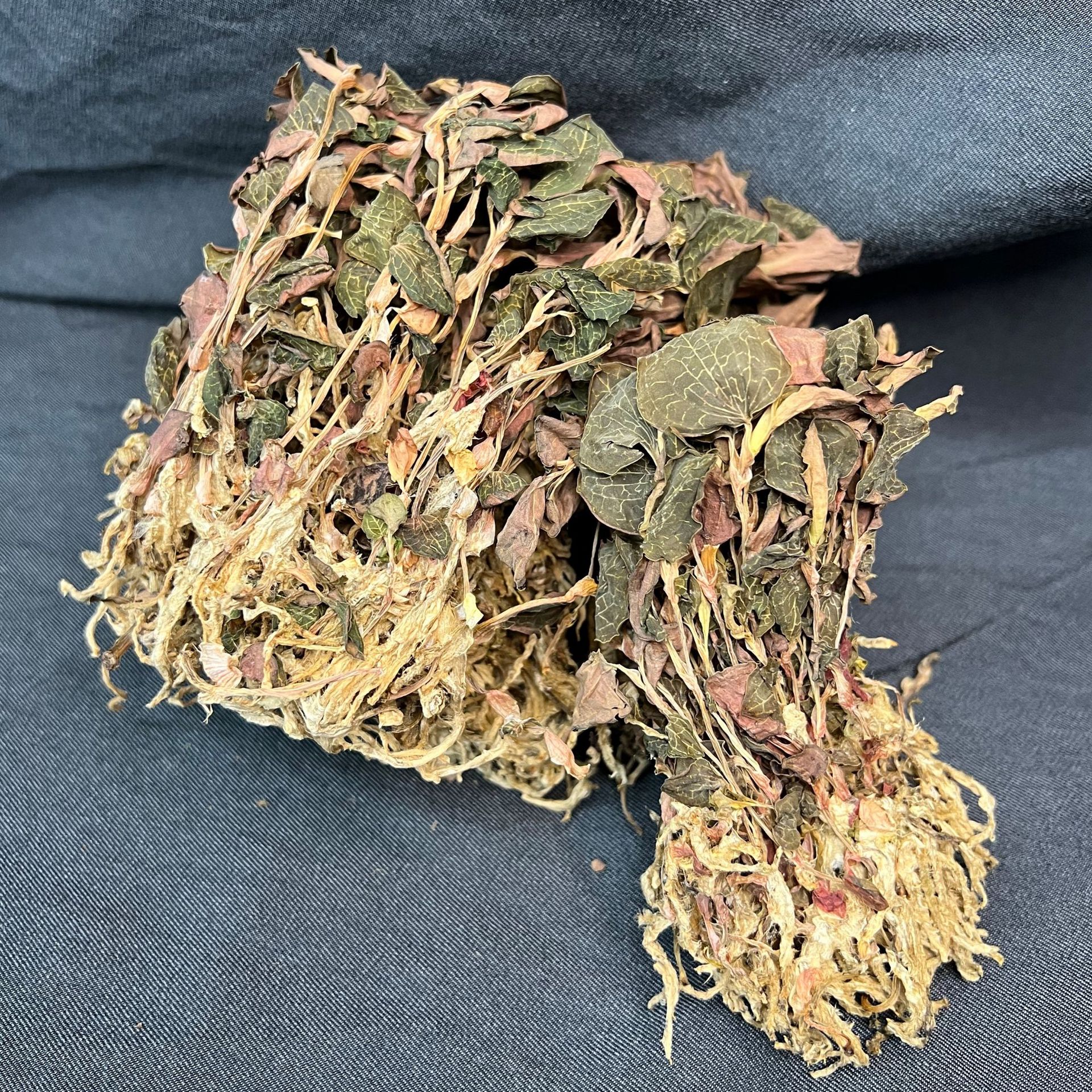 正宗金线莲散装养生茶干货干品特级整株福建南靖林下种植新鲜批发