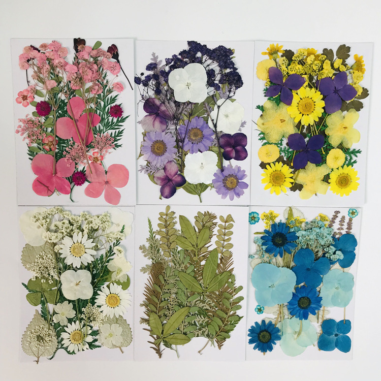 干花包花材包儿童手工diy亲子贴画网红花瓣妆拍摄写真押花包树叶