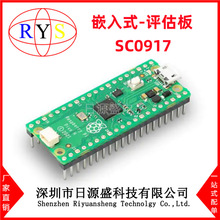 全新原装 SC0917 RASPBERRY PI PICO H 评估板 SC0917 开发板