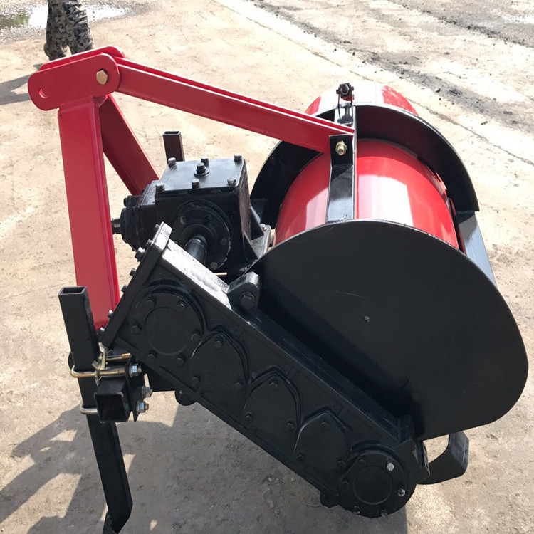 葡萄苗葡萄图片