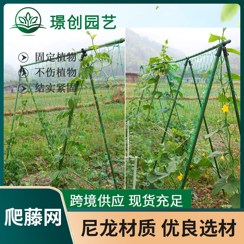 植物爬藤网豆角蔬菜吊瓜丝瓜黄瓜尼龙网支架网园艺种植攀爬网农用