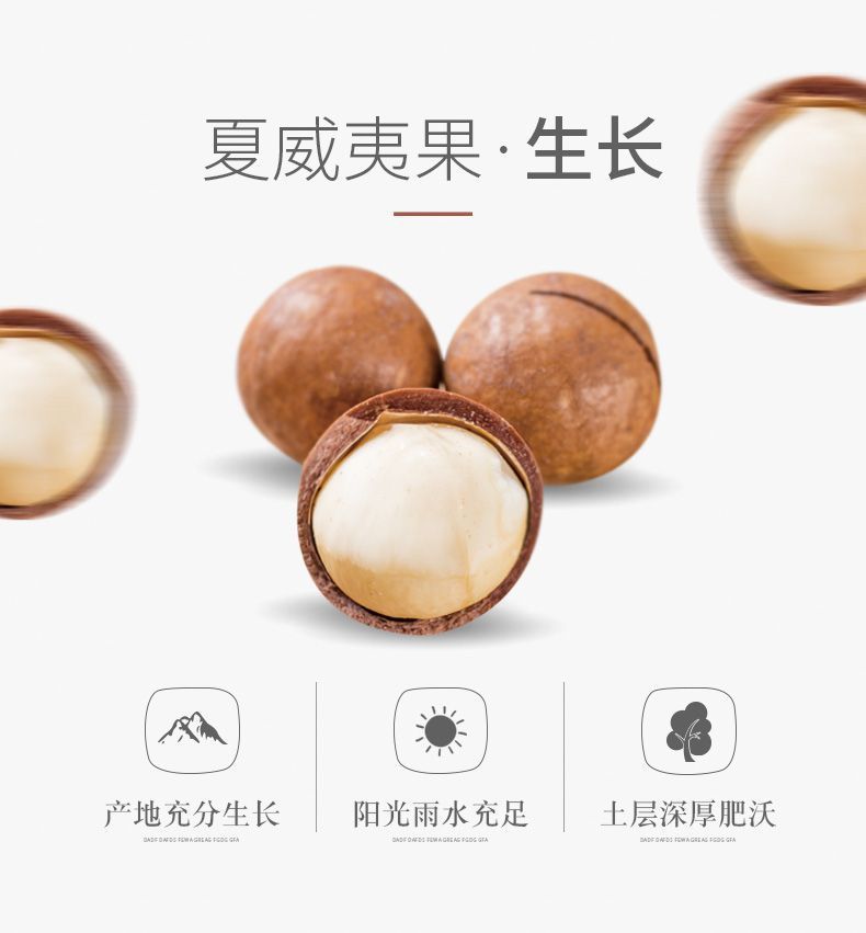 新季【夏威夷果】夏威夷果特价清仓原味坚果新货坚果炒货干果包邮