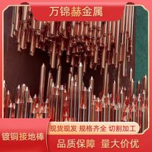防雷镀铜接地棒 避雷铜包钢接地极 铜覆钢双螺纹铜棒 垂直接地极