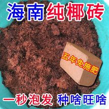 椰砖营养土有机肥养花压缩通用型土种菜有机脱椰糠代发独立站批发