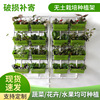 荣诚农业无土栽培立体基质种花种菜植物墙水循环种植架空中花园|ms 荣诚农业无土栽培立体基质种花种菜植物墙水循环种植架空中花园|ms