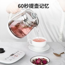 养生壶办公室电茶壶1.5L花茶迷你多功能玻璃煮茶壶