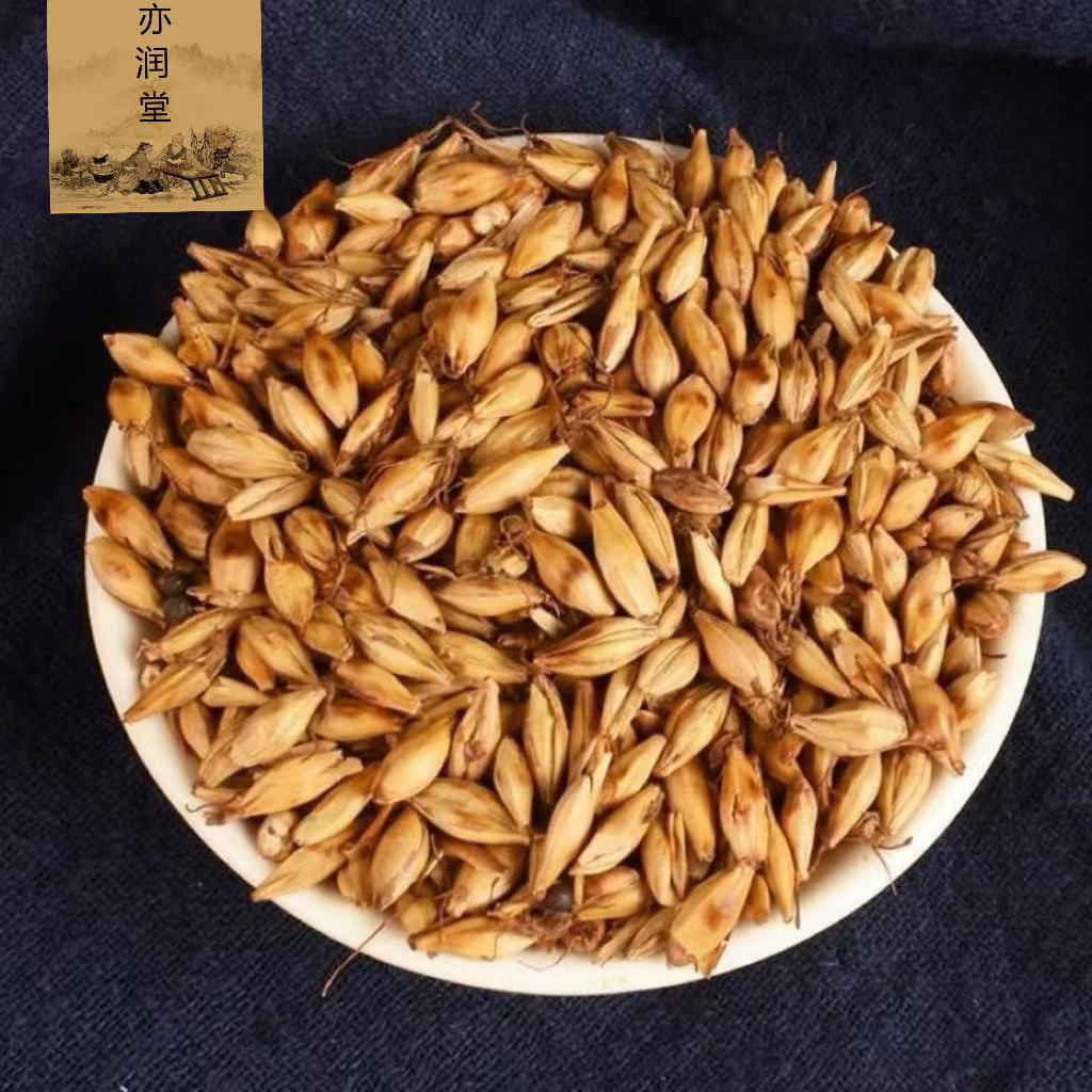 炒麦芽中药材焦麦芽熟大麦芽茶回奶降泌乳素生大麦籽250g-阿里巴巴