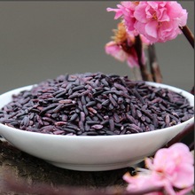 紫米云南墨江收紫糯米饭团粽子非血米做饭饼减酸奶露宝脂紫米商用