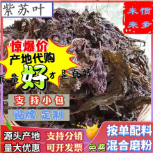 批发紫苏叶500g香料散装干货紫苏叶药食材苏子枝杆叶苏子非中药材