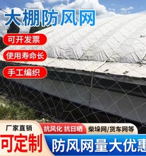 大棚防风网货物种植养殖大棚压膜网尼龙绳大孔绳网拉货封车防坠网